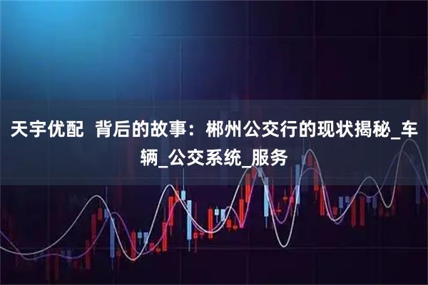 天宇优配  背后的故事：郴州公交行的现状揭秘_车辆_公交系统_服务