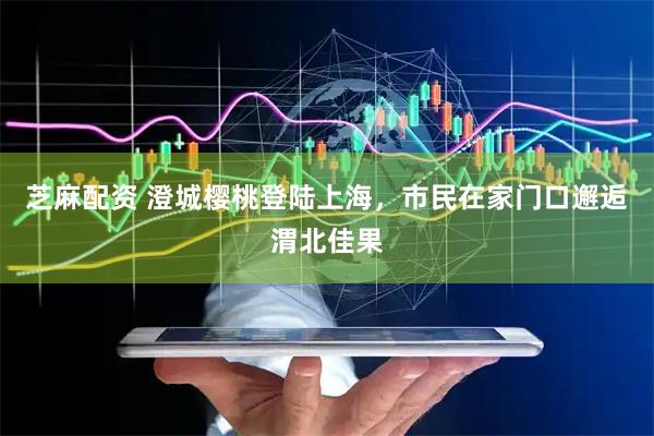 芝麻配资 澄城樱桃登陆上海，市民在家门口邂逅渭北佳果